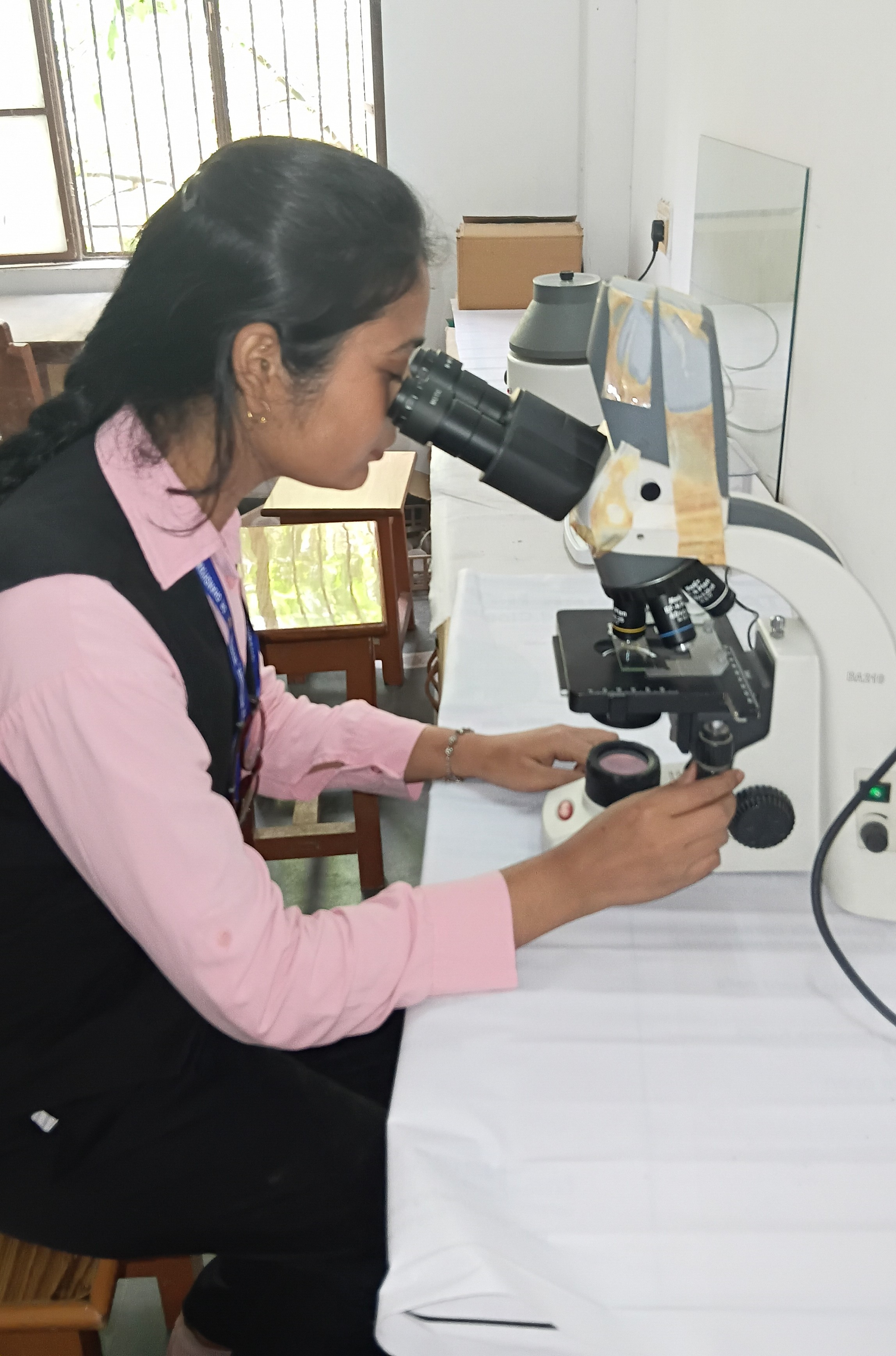 Bachelor of Science (B.Sc.)